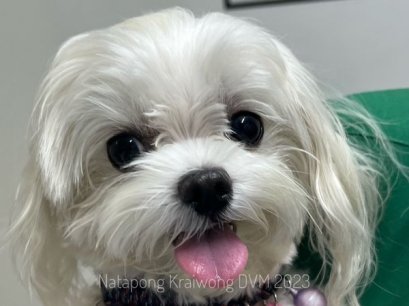 ทะเลาะกันไม่เกรงใจใคร!!!!!